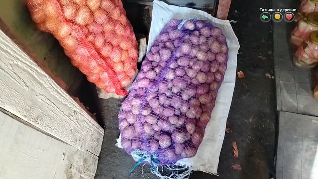 Заготовка для шакшуки// Уборка и ревизия в погребе//