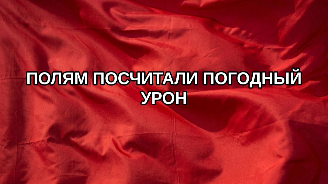 Полям посчитали погодный урон