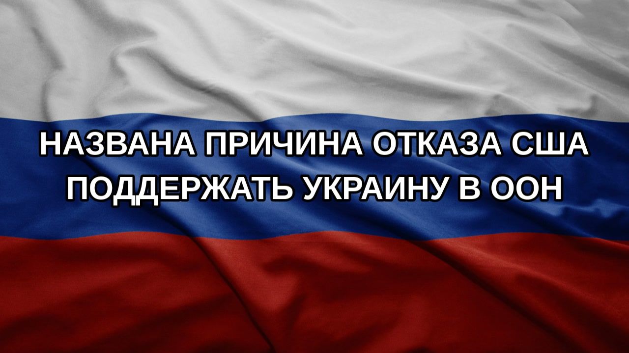 Названа причина отказа США поддержать Украину в ООН