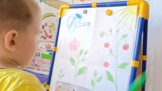 Огород с Экошей группа ЛУЧИКИ