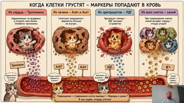 Вебинар по патофизиологии 1 день. Смерть клетки.