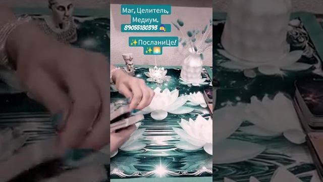 ✨ПосланиЦе!!✨🧙♀️