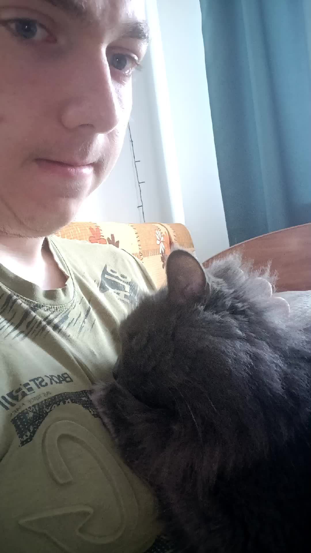 кот