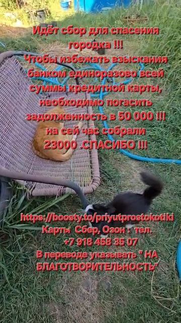 8d88d64d-936d-414c-809a-30af82ccade1