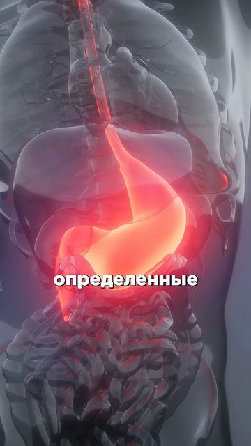 Откуда МАГНИЙ усваивается ЛУЧШЕ всего?
