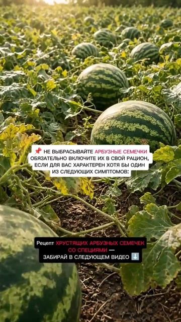 Арбузные семечки примененние
