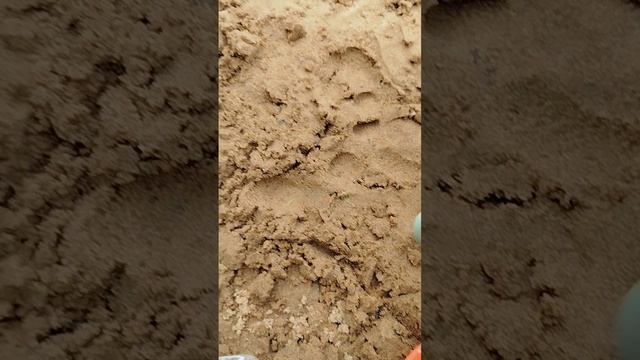 телепорт в другой мир по действием рамазана