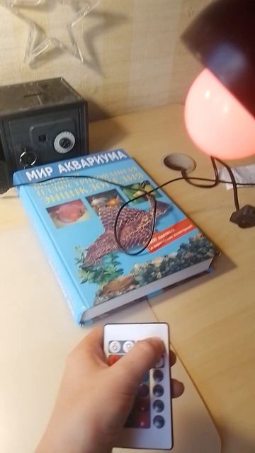 Лучший офис в мире