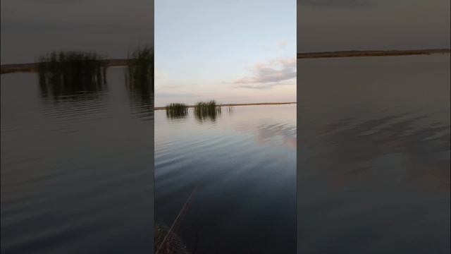 Эх рыбалка!