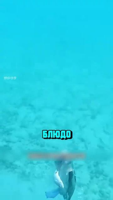 Я люблю всех животных😇