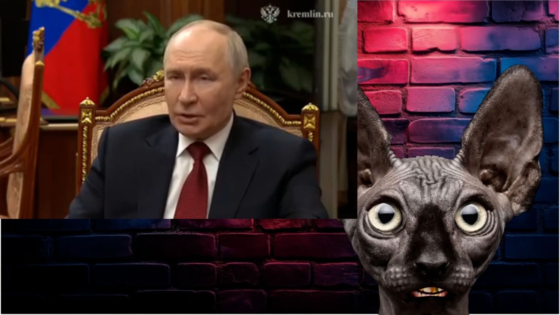 Сводки с фронтов с Котом Костяном (You Tube - 26)