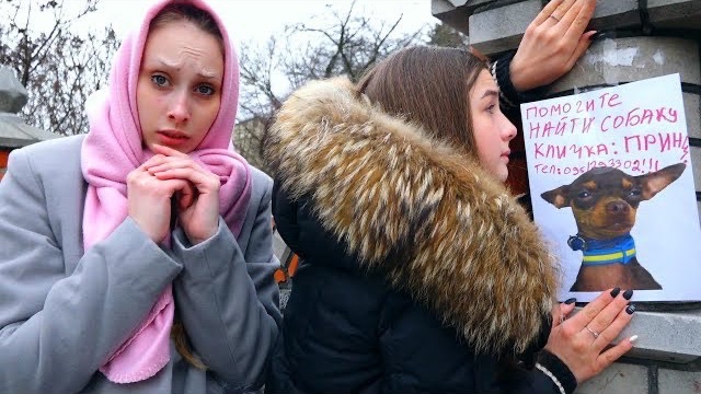 Капа ПОТЕРЯЛА ПРИНЦА!! Ищем СОБАКУ Дианы
