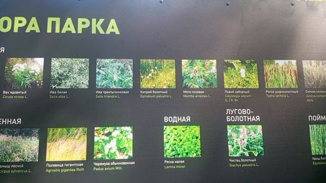 Прогулка по парку Каменка и поболтать