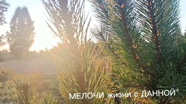 НА ЗАКАТЕ СОЛНЦА☀. КАКАЯ ТИШИНА. ПРОСТО❤ОТЛИЧНО👍👏😆.