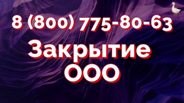 Ликвидация ООО под ключ с гарантией