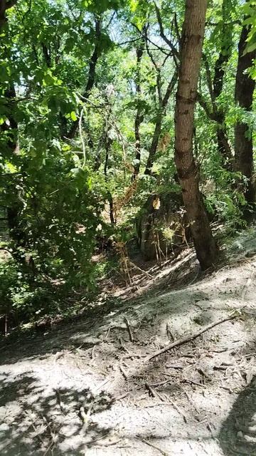 По дороге на гору Змейка увидели большой валун