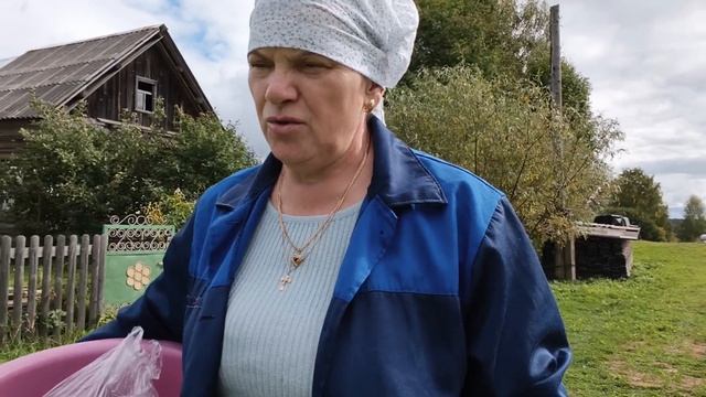 Засолила грузди собрала и замариновала огурцы.