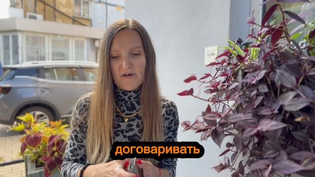 Почему он молчит? ____________________________