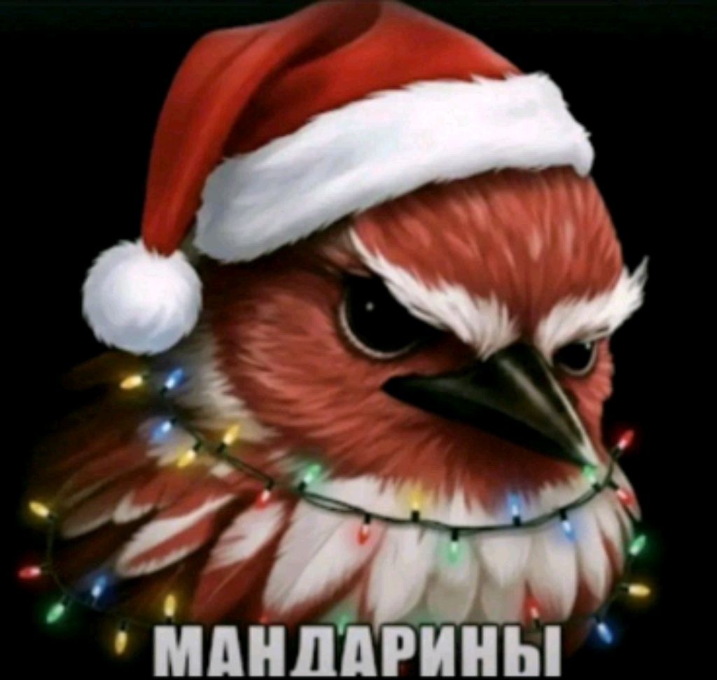 разговариваю с подписчиками