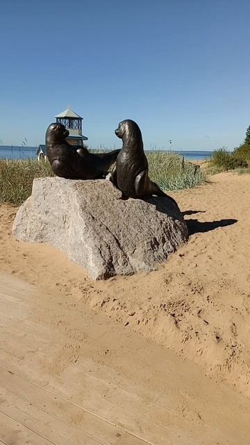 НА НЕДЕЛЬКУ до ВТОРОГО я уеду в КОМАРОВО...