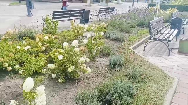 16607954362339Видео от Юрия Музыки 26.08.26 г Белгород