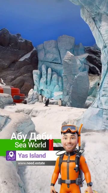 SeaWorld Abu Dhabi 🐬 🐠 💦 тематический парк морской жизни и крупнейший крытый аквариум в мире