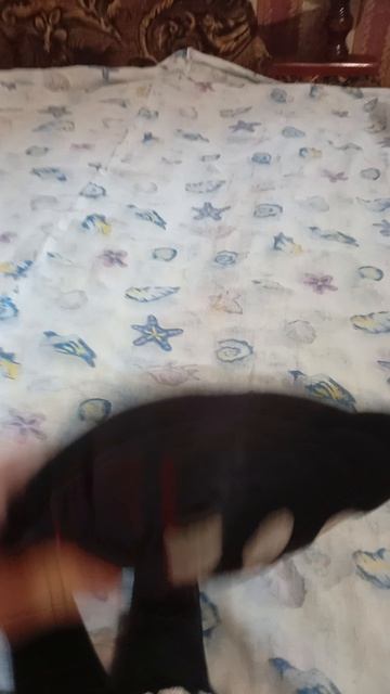 сначала всего 1 серия
