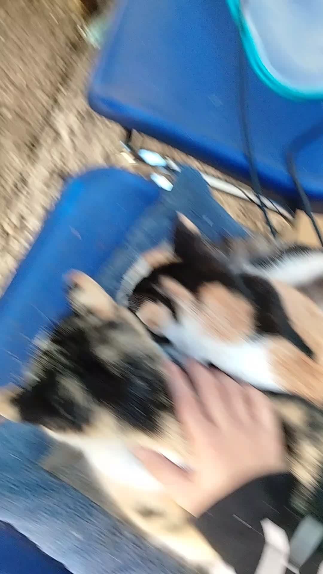 п
