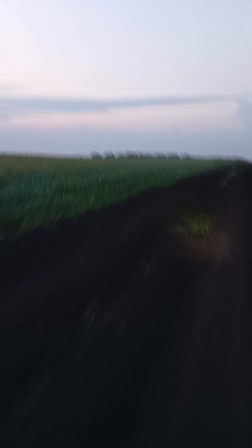 просто природа