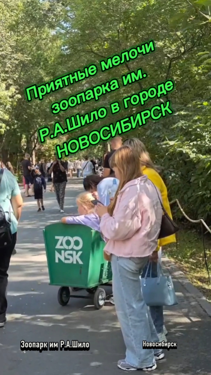 Приятные мелочи новосибирского зоопарка
