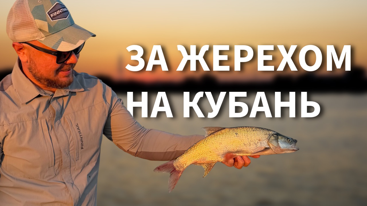 За жерехом на р.Кубань. Август 2026
