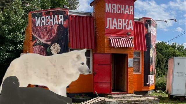 Коллаб с Тимошей / прикол 😂