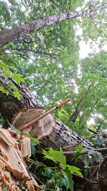 16.08.26 ПОРУБАС (2)