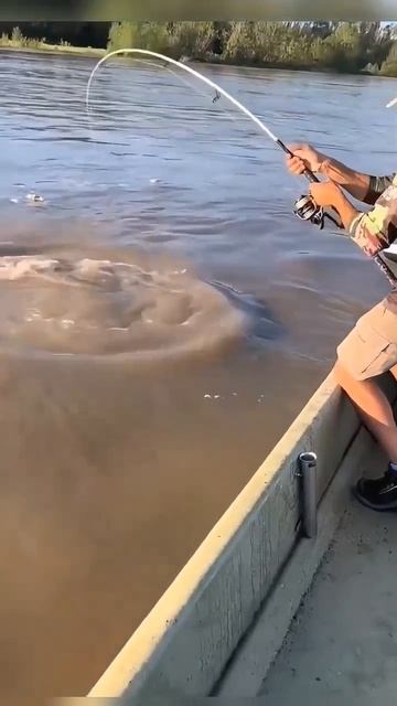 Вот это монстр 😯