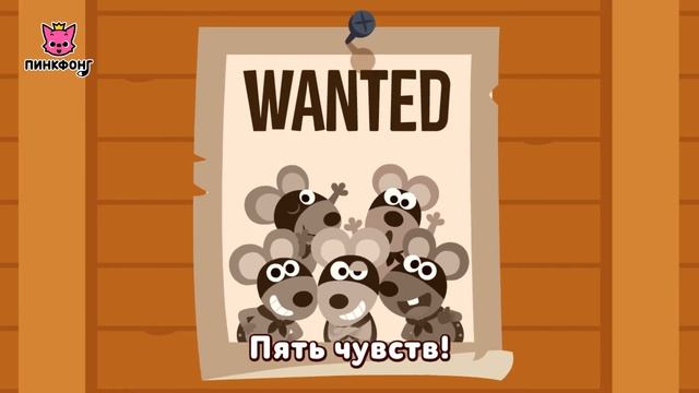 5 органов чувств | Песни про Части Тела | Пинкфонг Песни для Детей