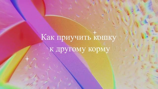 Как приучить кошку к другому корму