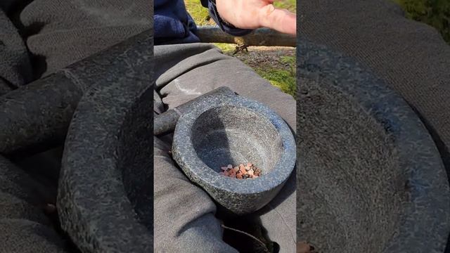Суп из морепродуктов