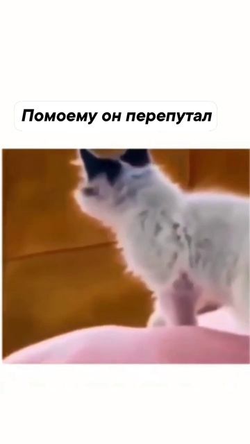 Сбой в програмном обеспечении