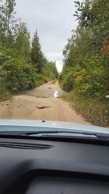 Сездили с дедом за грибами в лес