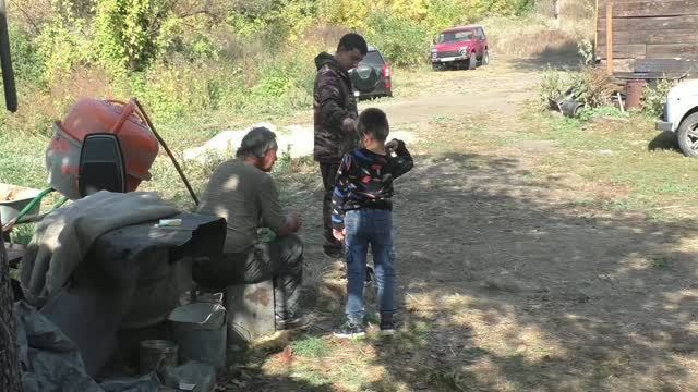 Хлопоты на своей мини ферме