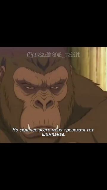 я переродился толстым тигром в зоопарке