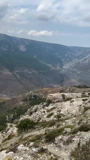Дагестан.Сулакский каньон.Дубки