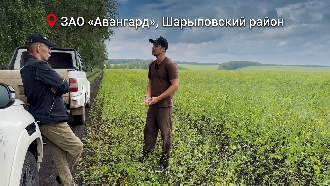 Склеротиниоз: эффективная система защиты посевов