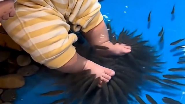 Массаж ног рыбками 🐟👼