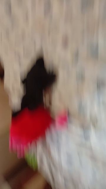 начало всего 4 серия