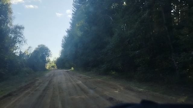 🟢Патрулируем,класс пож опасности 2.