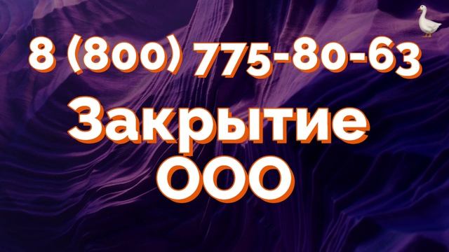 Реорганизация бизнеса. Под ключ
