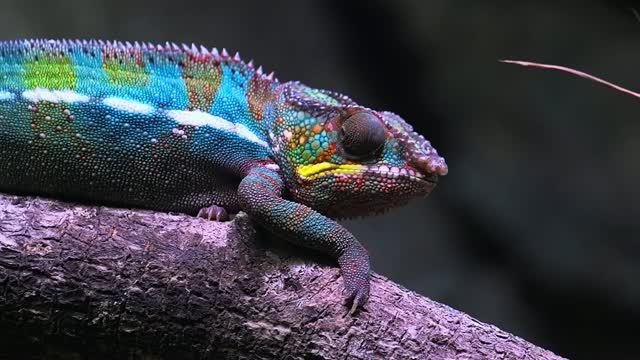 Музыка для души