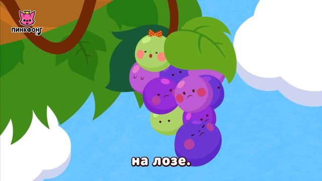 Виноград | Песни про фрукты | Пинкфонг песни для детей