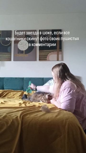 Кошатники и не только вы тут?? #коты